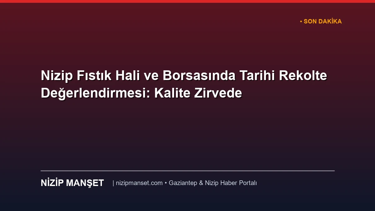Nizip Fıstık Hali ve Borsasında Tarihi Rekolte Değerlendirmesi: Kalite Zirvede