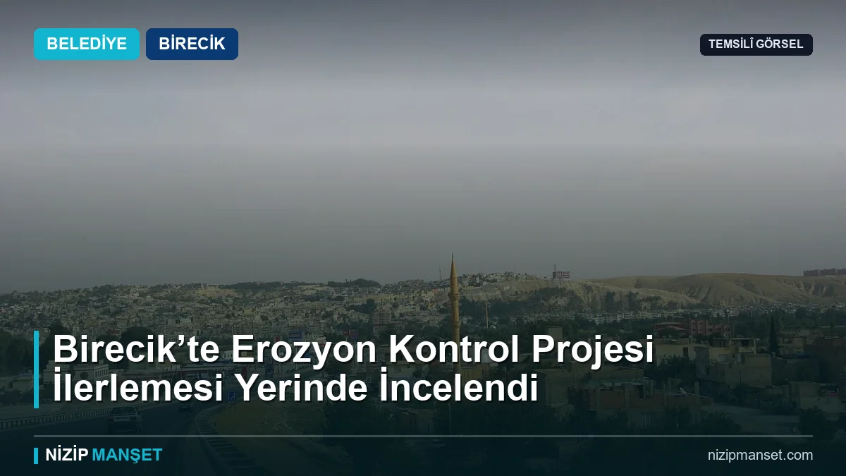Birecik'te yangından etkilenen sahadaki çalışmalar incelendi