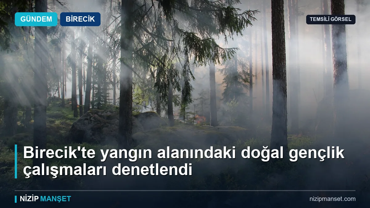 Birecik'te yangın alanındaki doğal gençlik çalışmaları denetlendi