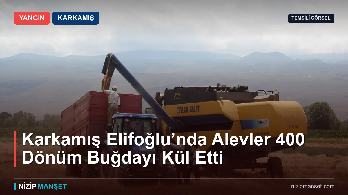 Karkamış'ta 400 dönümlük buğday ekili alan küle döndü