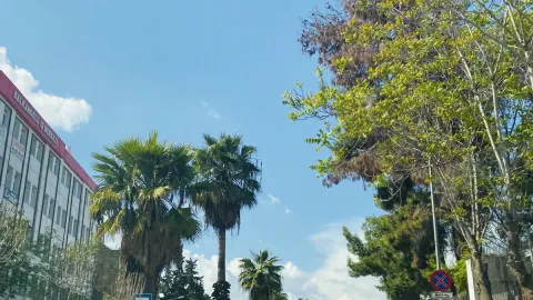 Nizip Ticaret Odası'nda seçim iptali: Mimarlar Grubu yeniden sandığa gidecek